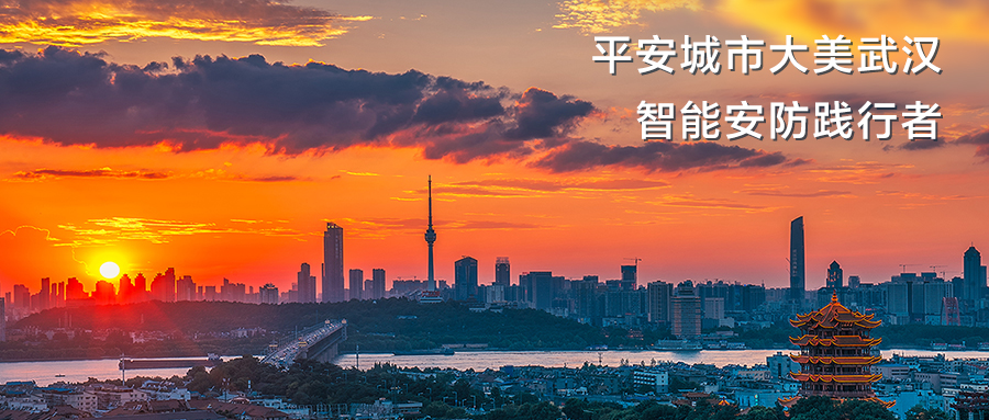 平安城市監(jiān)控解決方案-POE交換機(jī)